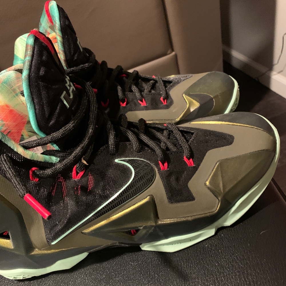 Lebron Nike 11 King’s pride